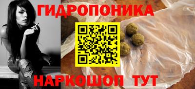 крисы Кингисепп