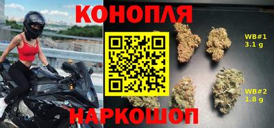 крисы Кингисепп