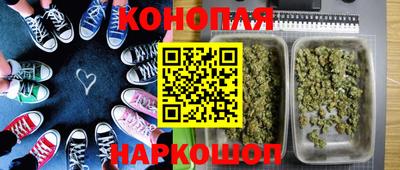 крисы Кингисепп