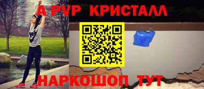 крисы Кингисепп