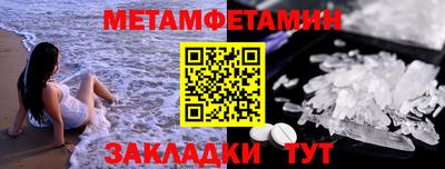 крисы Кингисепп