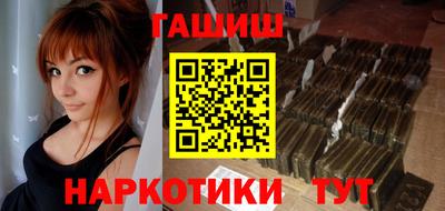крисы Кингисепп