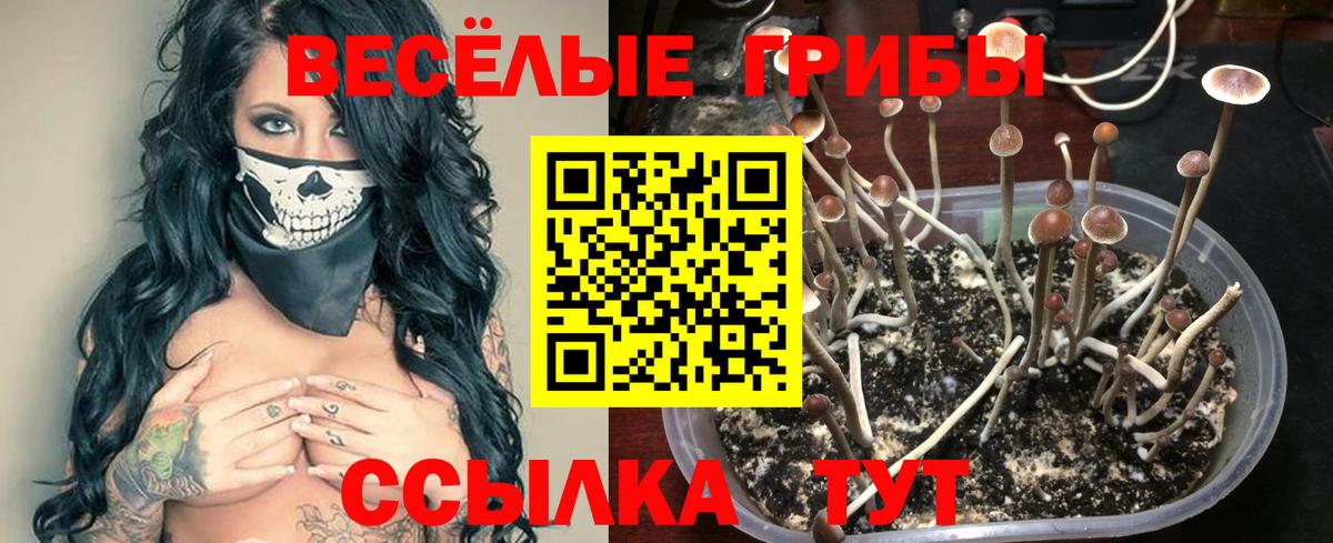 Галлюциногенные грибы MAGIC MUSHROOMS Когалым